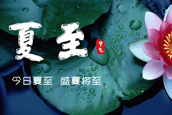 茄子视频在线观看免费木业 | 盛夏已至,满目繁华